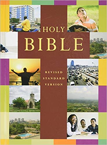 RSV Popular Illustrated Holy Bible HB - Bible Society
